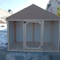 خانه سگ و کفتر مرغ