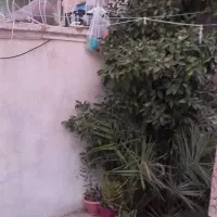 منزل فروشی ۸۵ متری درب از حیاط سند تک برگ ملکی|فروش خانه و ویلا|شیراز, شیخ علی چوپان|دیوار