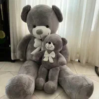 انواع خرس بزرگ و شاسخین ولنتاین