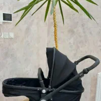 کالسکه،سه چرخه،عروسک