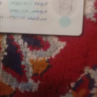 گواهینامه