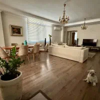 آپارتمان 118 متر / 8واحدی / شهرک غرب زرفشان|فروش آپارتمان|تهران, ایوانک|دیوار