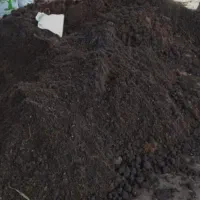 کود حیوانی پهن