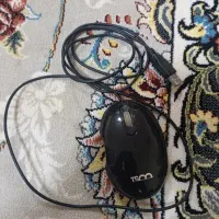 موس تسکو