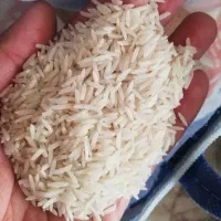برنج پاکستانی بریس  دانه بلند ۱۱۲۱ فروش تکی و عمده