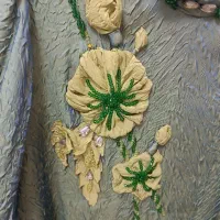 دوعدد بلوز مجلسی نو|لباس|بستان آباد, |دیوار