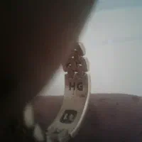 تعدادی انگشتره نقره وزنجیروپلاک شیروخورشید|جواهرات|تهران, جی|دیوار