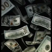 شراکت سرمایه گذاری