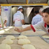 استخدام شاطر