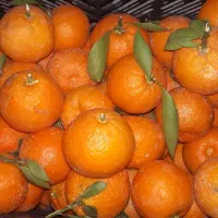 فروش میوه بکرایی وپرتقال