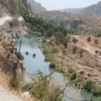 سیم کارت دائمی 09131298975