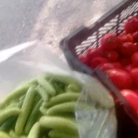 خیار چنبر