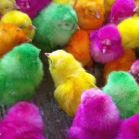 یه نصیحت زندگی ساز بگین