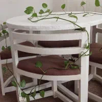 گل آپارتمانی|گل و گیاه طبیعی|مریوان, |دیوار