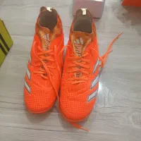 کفش سالنی نو