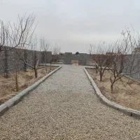 باغ-و-باغچه-154-متری-سند-تک-برگ-انشعابات