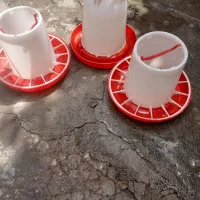 دون خوری ابخوری