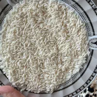 برنج هاشمی درجه 1محصول 1404خوش عطروخوش طعم|خوردنی و آشامیدنی|لاهیجان, کوی زمانی|دیوار