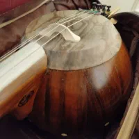 کمانچه بیاض امیرعطایی|سازهای سنتی|تهران, فلسطین (میدان انقلاب)|دیوار