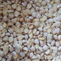 لپه محلی قابلمه پزباقیمت خیلی مناسب