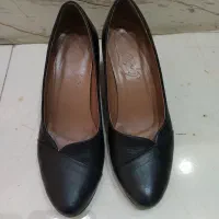 کفشهای مجلسی و ورزشی زنانه