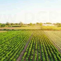 نیازبه کارگرکشاورزی باشرایط خوب