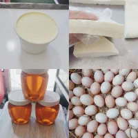 لبنیاتی کیانی