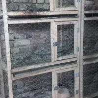 جفت کن کبوتر|لوازم جانبی حیوانات|تاکستان, |دیوار