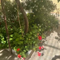 ۱۰۲متر ویلایی۲خواب سند داربهترین نقطه شهیدان غربی