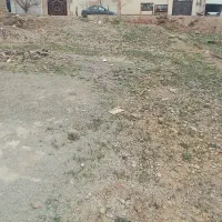 زمین