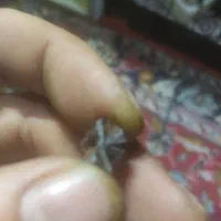 سنگ های قیمتی|کلکسیون اشیاء عتیقه|اندیشه, اندیشه فاز ۱|دیوار