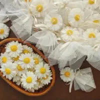 گیفت
