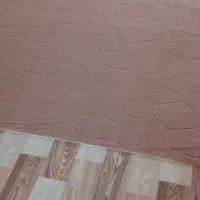 موکت تمیز وسالم