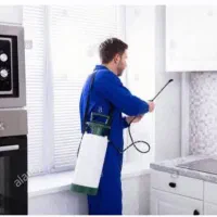 سمپاشی تمامی مناطق قم سم پاشی سوسک.ساس.موریانه