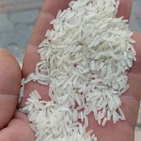 پخش برنج طارم هاشمی.|خوردنی و آشامیدنی|تهران, شهرک صادقیه|دیوار