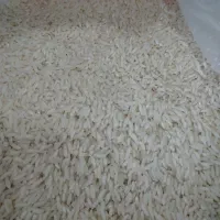 برنج فله درود