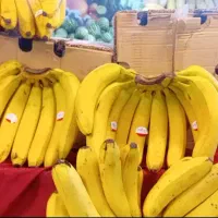 موز درجه یک مجلسی