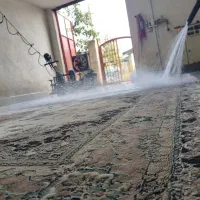 قالیشویی مکانیزه گل رز