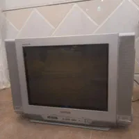 تلویزیون