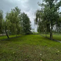 زمین-باغی-جهت-سرمایه-گذای350م-پلاک0جنگل-سنددار