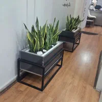 استخدام سئوکار/وردپرس کار/طراح سایت