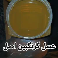 عسل گزنگبین اصل