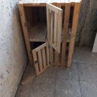 جفتی  کبوتر  و گنجه کفتر  قفس