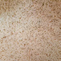 برنج طارم هاشمی عالی