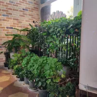 واحد 60 متری نواب صفوی فرهنگیان  داری اب برق گاز