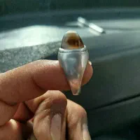 دوعدد باباقوری کلکسیونی|جواهرات|بیرجند, |دیوار