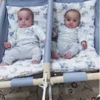 گهواره دوقلو