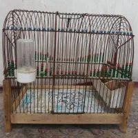 قفس سهره
