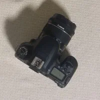 دوربین کانن Canon 77d|دوربین عکاسی و فیلم‌برداری|تهران, بهار|دیوار