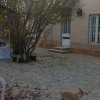 ویلا باغ مجوز دار جاده سلماس روستای دستجرد|فروش خانه و ویلا|ارومیه, |دیوار